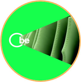 1730257069358876.png 640 (2).png